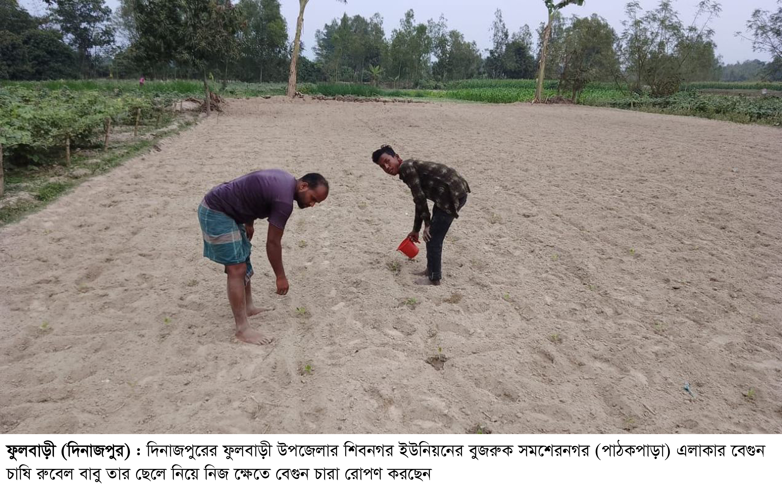 বেগুন চাষে ঝুঁকছেন ফুলবাড়ীর কৃষক