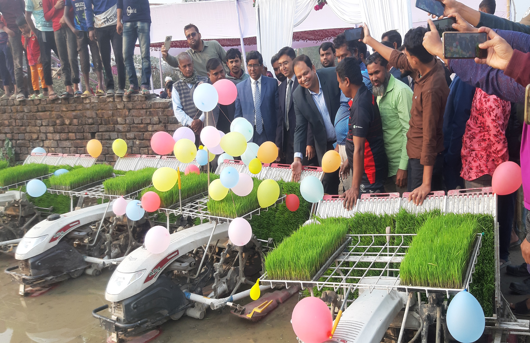 সৈয়দপুরে সমলয় পদ্ধতির চাষাবাদের উদ্বোধন